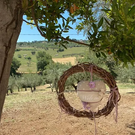 Vakantiehuis Casale Cialifone